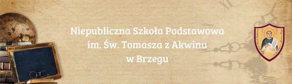 Niepubliczna Szkoła Podstawowa w Brzegu